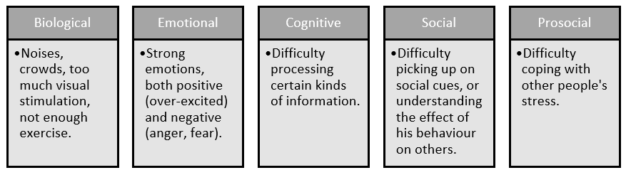 5 Domains of Self-Reg